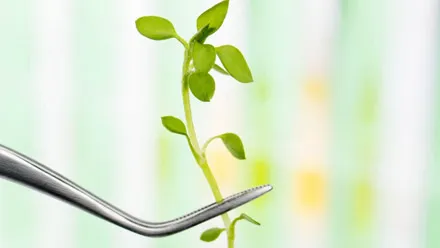 الجامعات ومؤسسات البحث